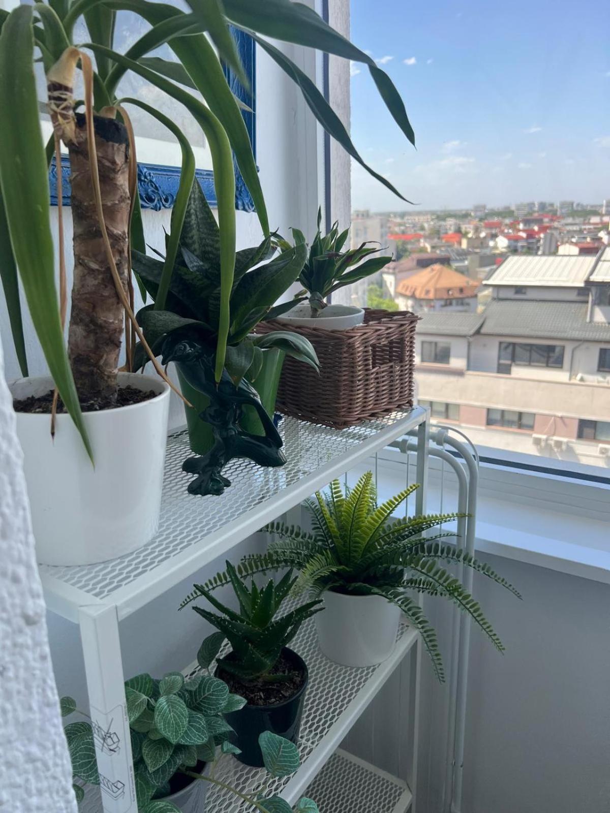 1Bdr Apartment Perla 225 بوخارست المظهر الخارجي الصورة